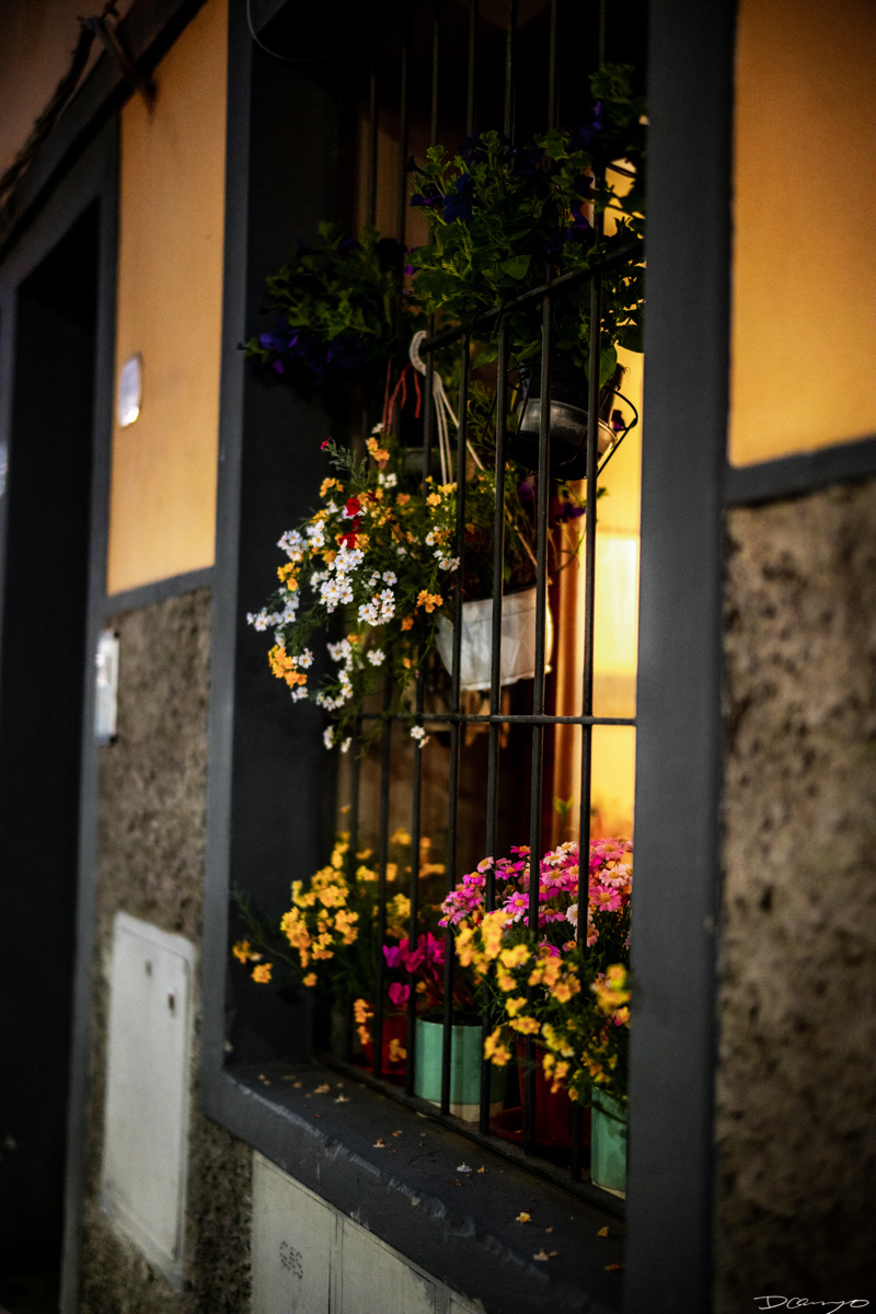 Photos from Rome, Venice, Florence, Tuscany, Manarola, Vernazza, Riomaggiore, Verona, Trento, and the Italian Alps in Spring of 2022.